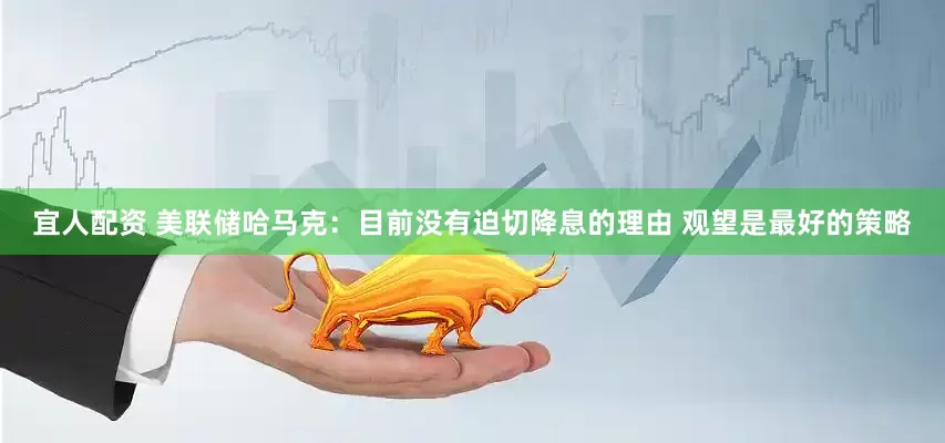 宜人配资 美联储哈马克：目前没有迫切降息的理由 观望是最好的策略