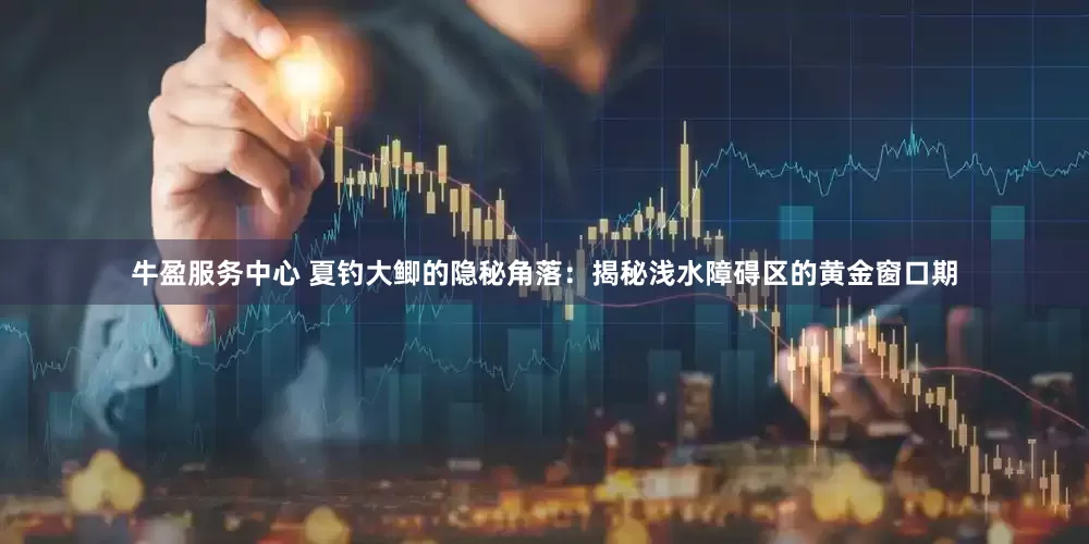 牛盈服务中心 夏钓大鲫的隐秘角落：揭秘浅水障碍区的黄金窗口期